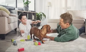 How to Make Your Home Comfort for Your Family