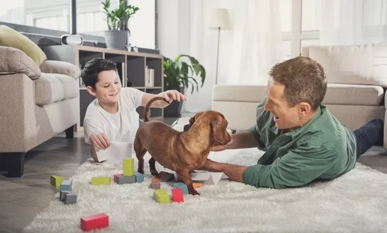 How to Make Your Home Comfort for Your Family